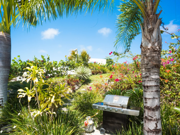 villa for sale cabarete pool furnished ocean view